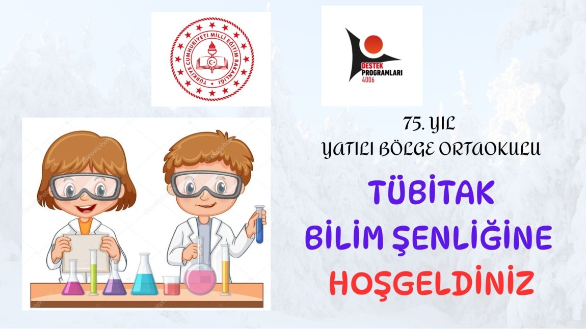 TÜBİTAK 4006 